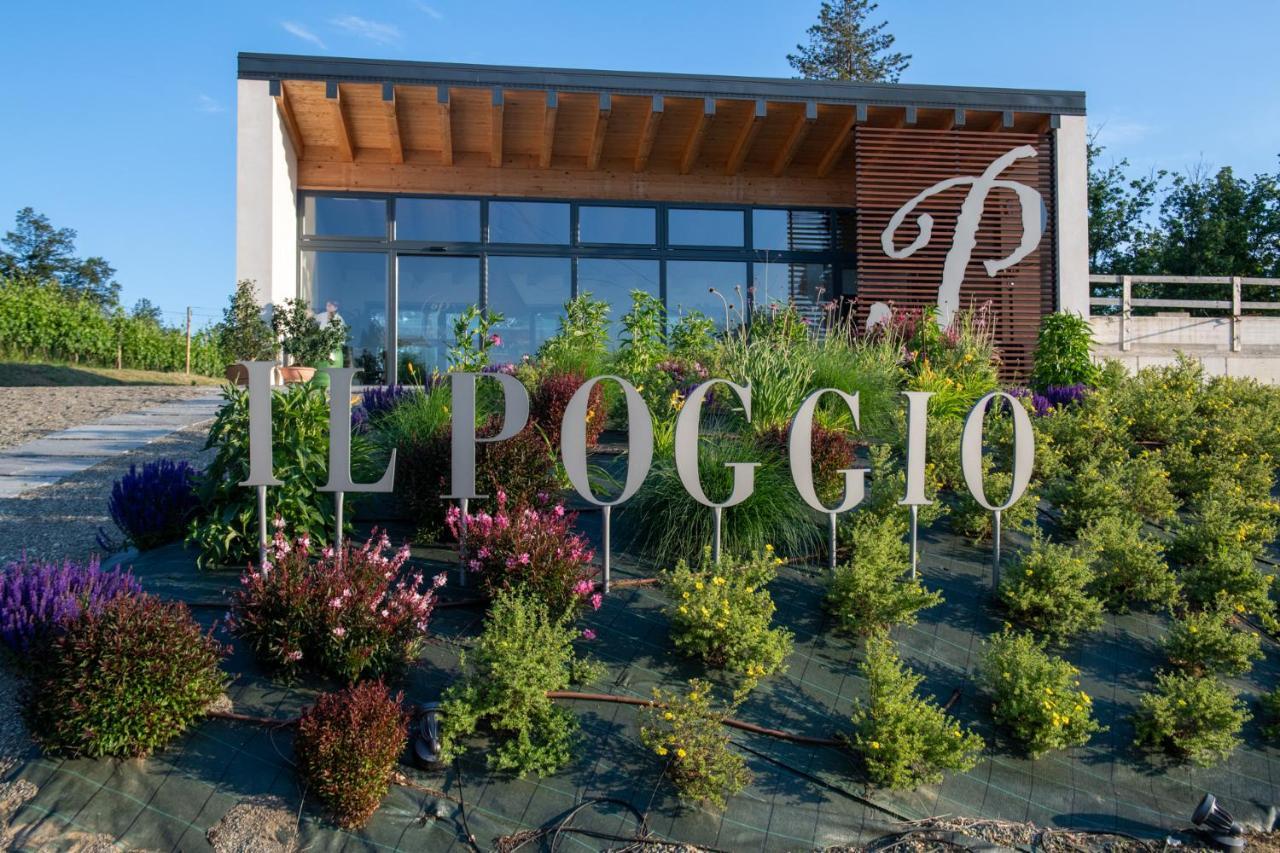 B&B Il Poggio Di غافي المظهر الخارجي الصورة