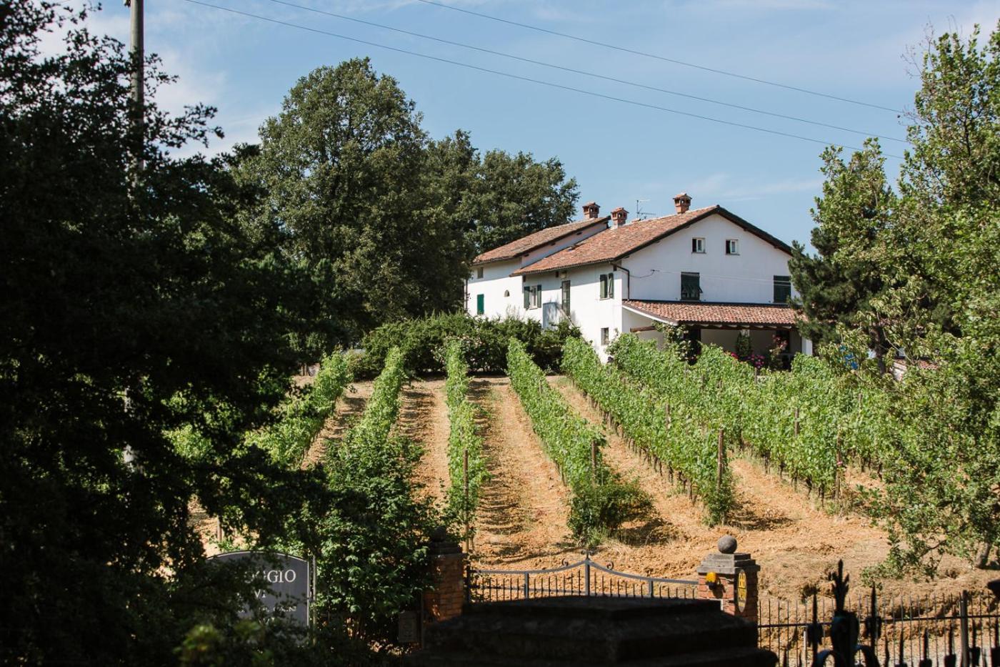 B&B Il Poggio Di غافي المظهر الخارجي الصورة